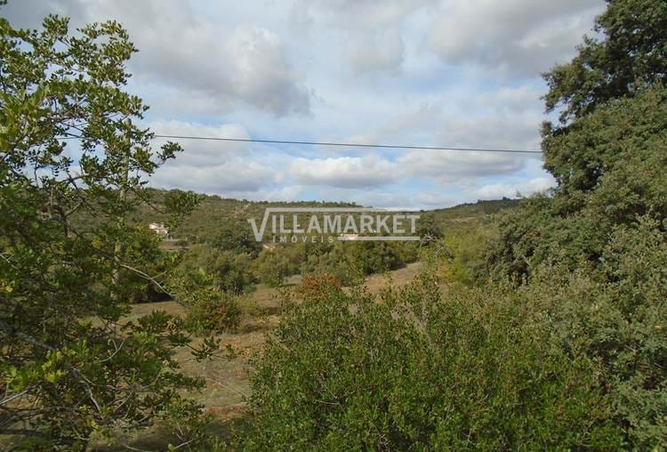 Land with 3280 m2 located in the parish of Santa Barbara de Nexe 3 kms from Loulé