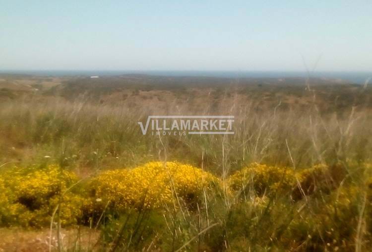 Rustic land with 9440 m2 with sea view in Praia da Ingrina