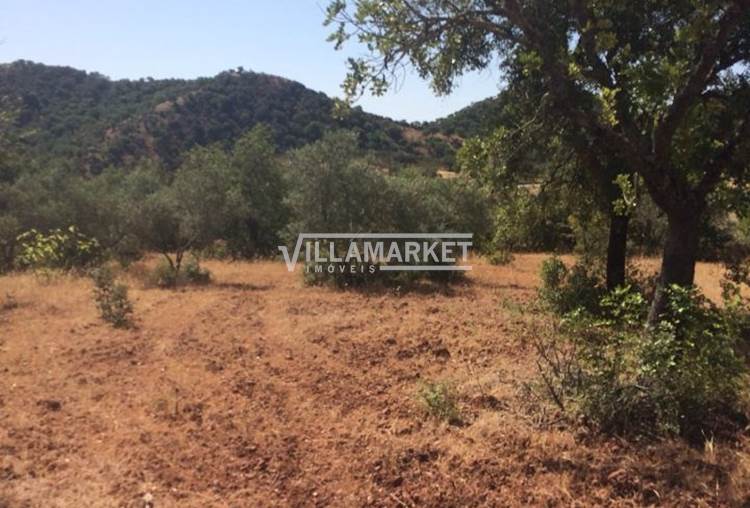 Farm with 18000 m2 of land in Salir