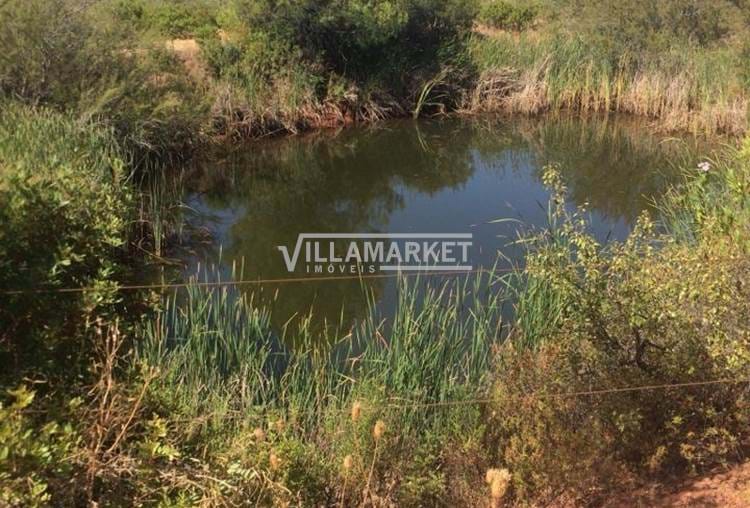 Farm with 18000 m2 of land in Salir