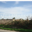 Land with 6 hectares in Montijo