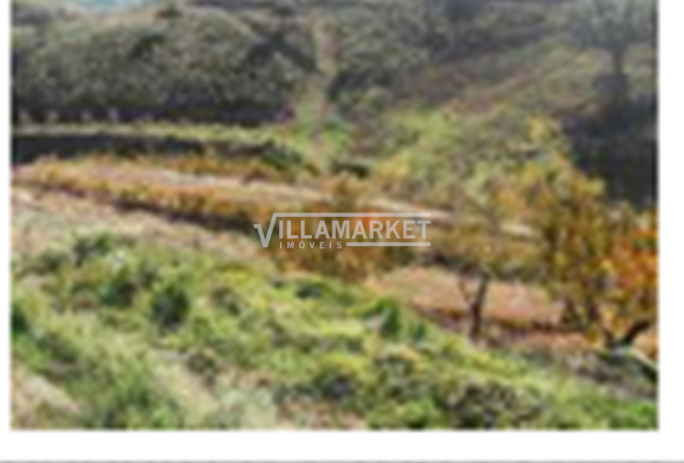 2 Rustic land with 10586 m2 located in The Place of Magoito (Odeleite)
