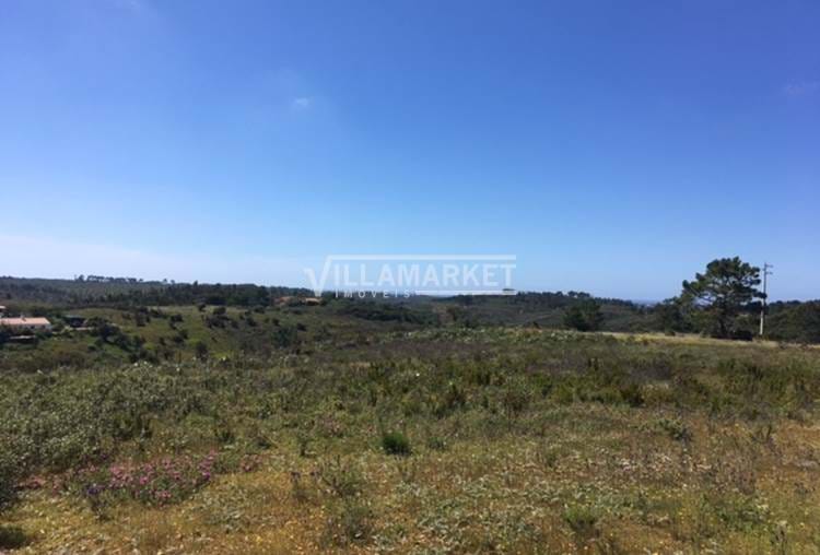 Land with 4 ha composed of ruin of 96m2 with sea view located in ALJEZUR