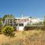 "A Casa da Felicidade" é uma Quintinha V2+1 com 395 m2 de terreno situada na Catraia em TAVIRA
