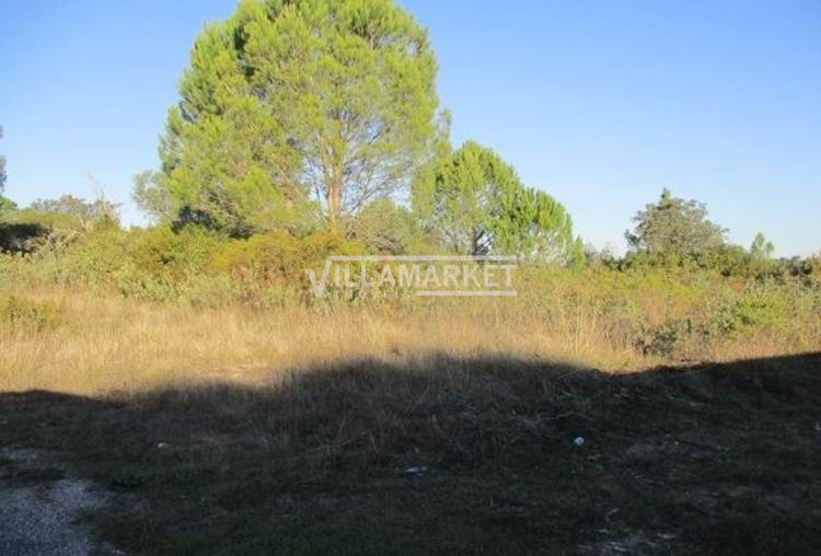 Urban land with 2450 m2 for the construction of 5 villas located near Tomar