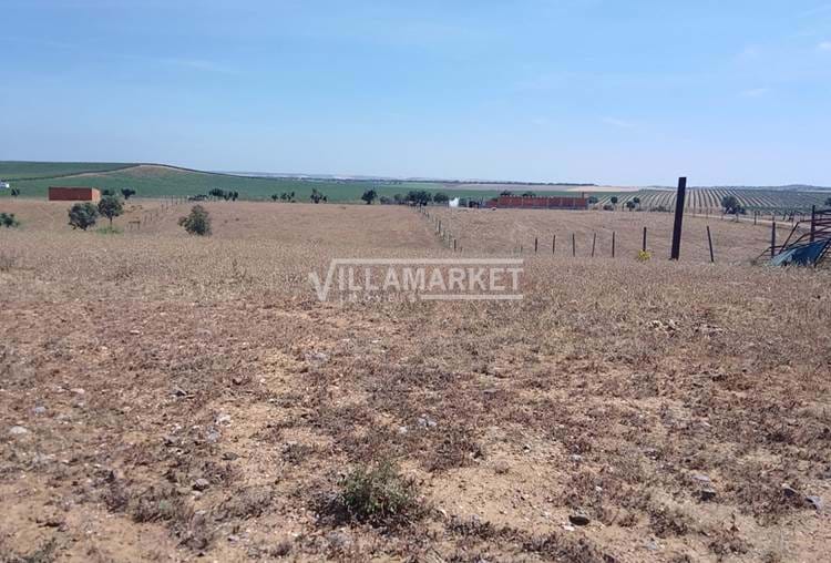 Rustic land with 8250 m2 located near Aljustrel in Alentejo