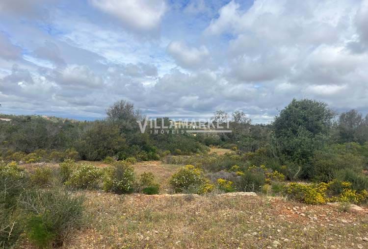 Rustic land with 12500 m2 located in the Canals 8 kms from the beaches of Albufeira