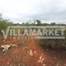 Rustic land with 12500 m2 located in the Canals 8 kms from the beaches of Albufeira