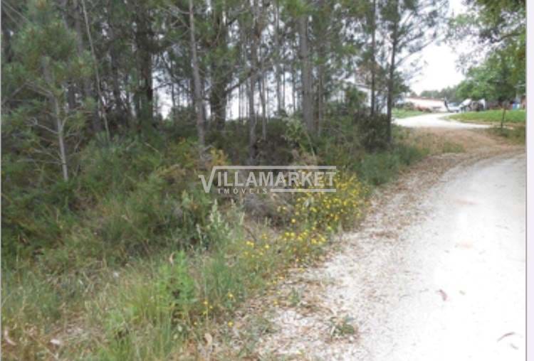 Land with 7479 m2 located 1.5 km from the Center of Benedita