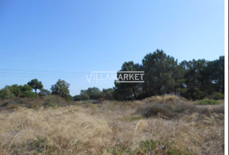 Urban land for construction with 195 m², located in Pinhal da Vila Chã