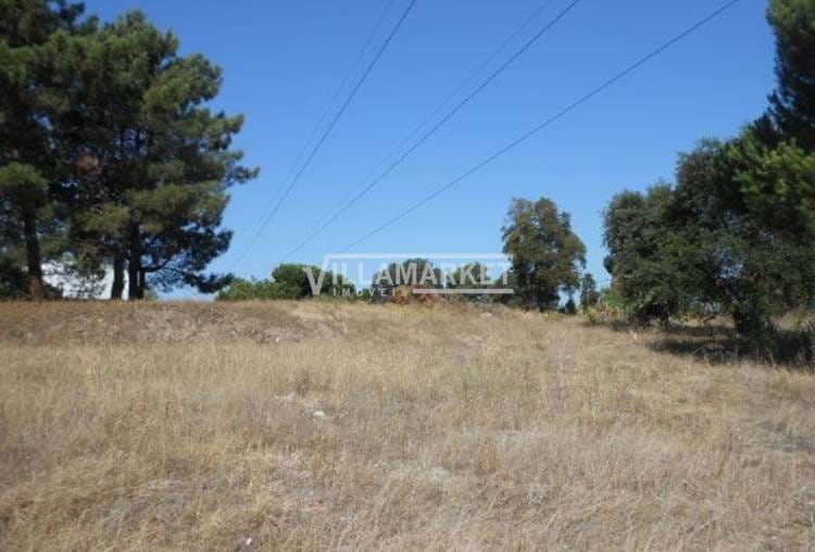 Urban land for construction with 195 m², located in Pinhal da Vila Chã
