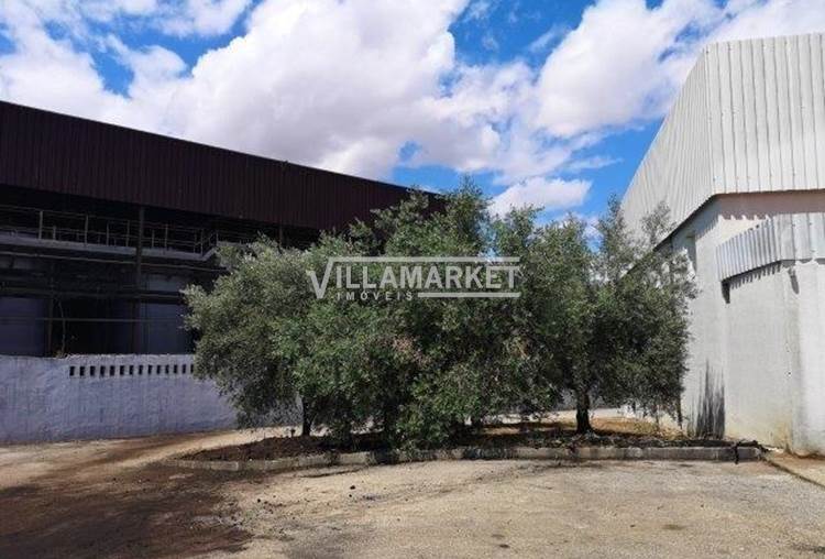 Industrial warehouse with 1088 m2 located in Redondo - Évora - Alentejo 