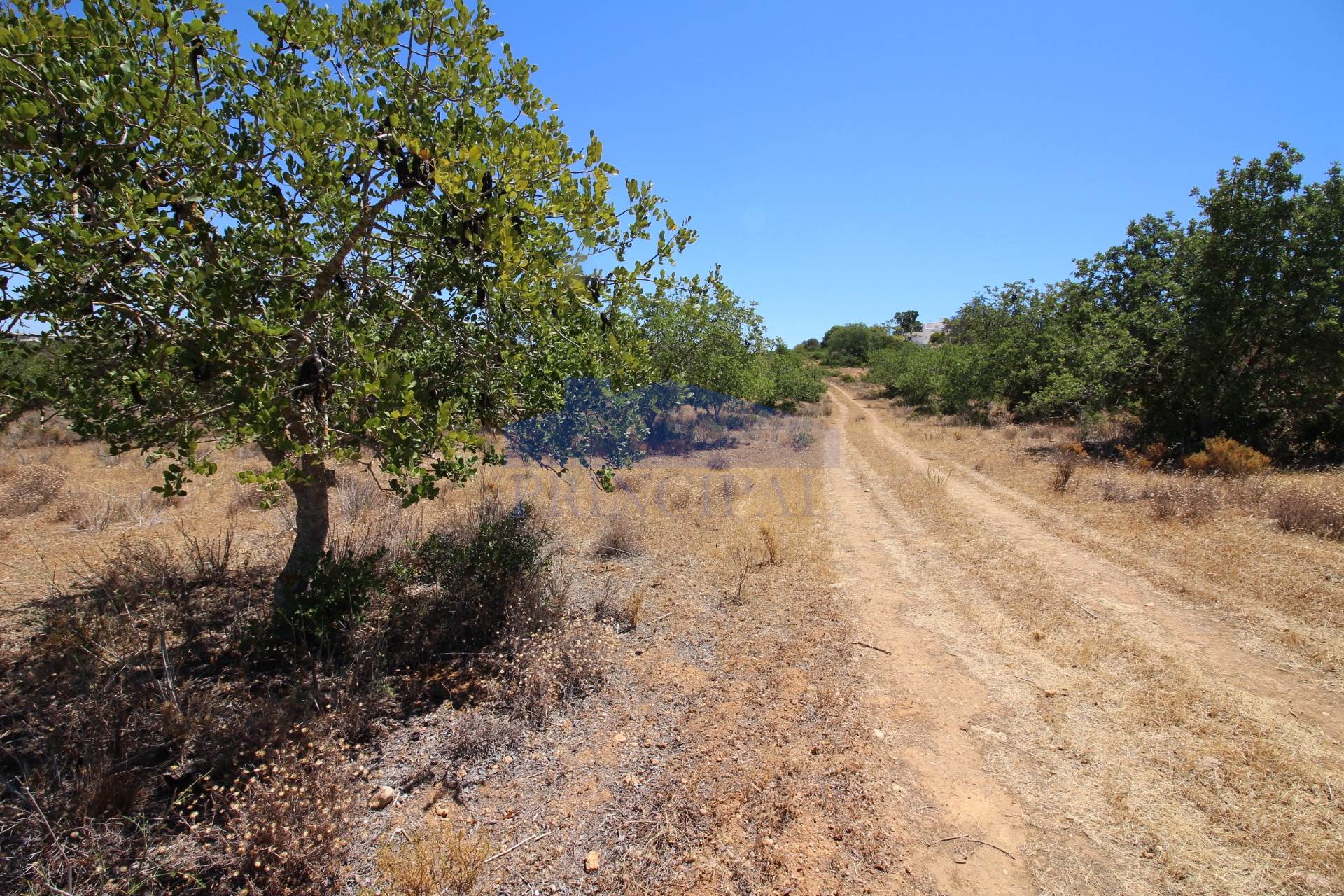 Rustic land with 2.2 hectares in urbanized area, Terras Novas