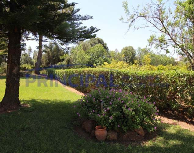 Moradia V5 Térrea, com Piscina grande Jardim em Lote de 17000 m2, Alcantarilha