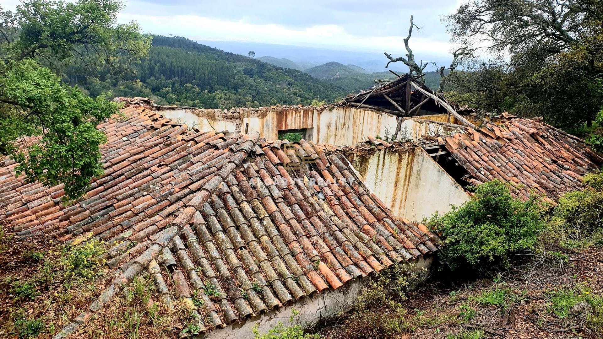 Gralhos - Monchique - VENTE - MONCHIQUE ruine a pour investissement avec terrain rustique avec 1000 m2 - vue magnifique