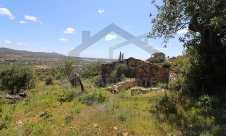ACPS10533 - Ruin - Sitio de Guelhim
