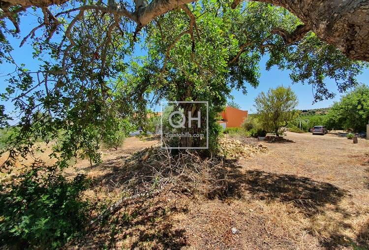 Project: Quinta with 2 houses and annex on 3 ha near Luz de Tavira 