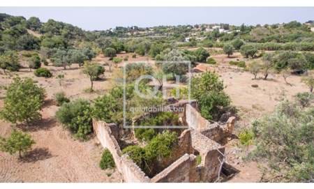 Oportunidade : Ruina  com projeto aprovado perto de Loulé 