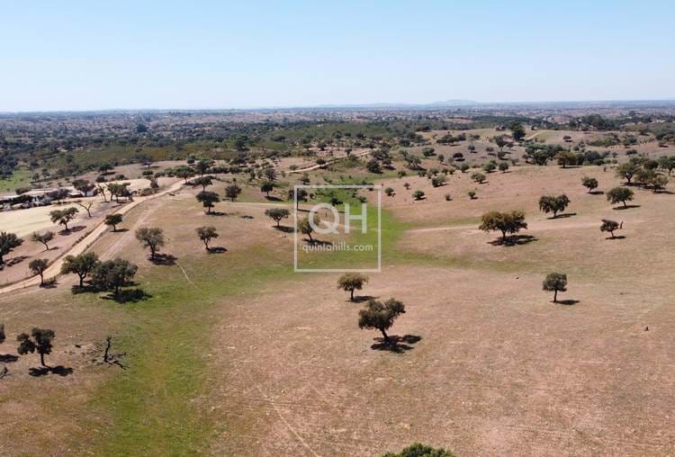 Beautiful Country Estate with 6 suites and breathtaking  views over the idyllic Alentejo near Serpa