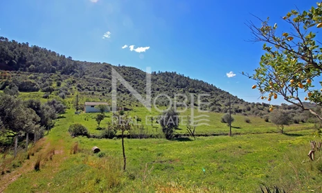 Land   -  , Silves, for sale