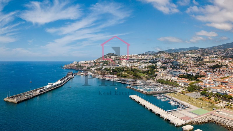 Appartement 1 chambre - Funchal