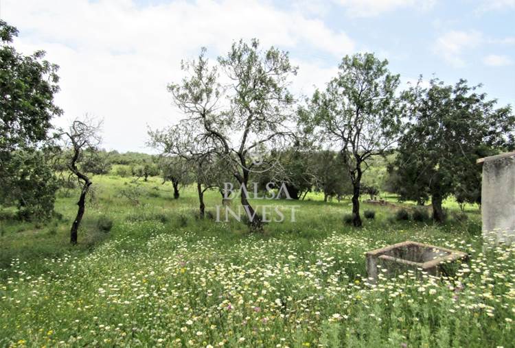 OLD HOUSE and Plot of Land of 18.000 sqm - SEA VIEW - Construction for a DETACHED VILLA - OLHÃO