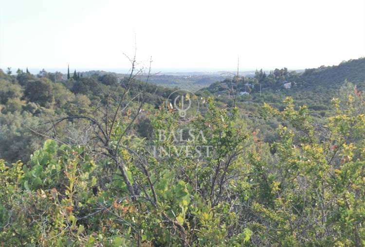 Plot of land with 18.578 sq.m  with 2 old houses in ruin for sale in Loulé area with valley and sea views