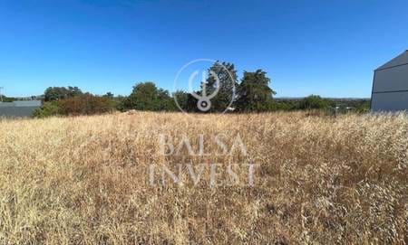Building plot of land with 8,400 sqm for sale in Livramento, Tavira