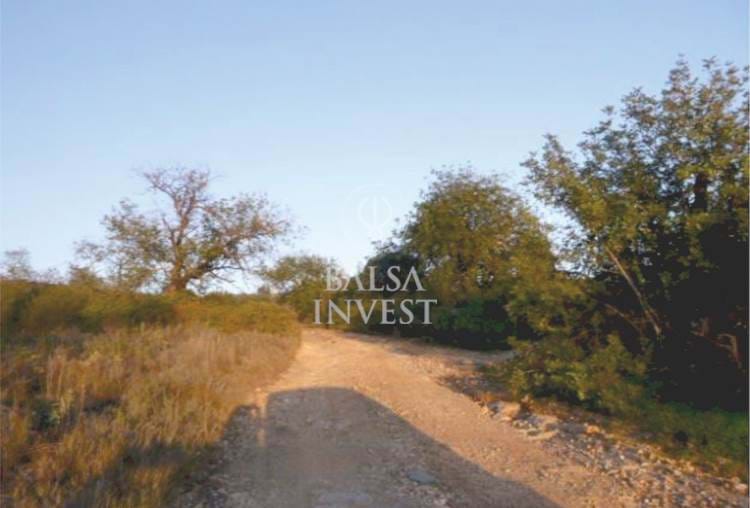 Urban land with 32.966 sq.m intended for Extractive Industries for sale in Boliqueime, Loulé