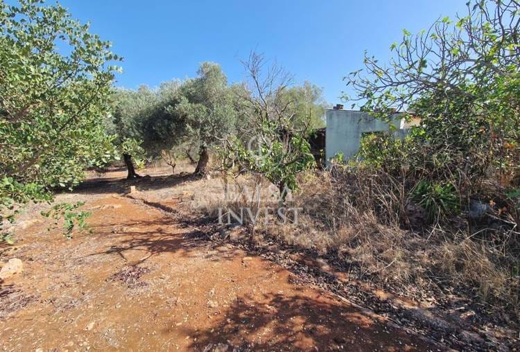 Cozy 2-bedroom House on a land of 550 sq.m for sale in BENAFIM, Loulé