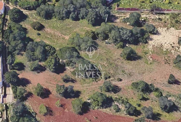 Plot of Land with 2.320 sq.m ideal for Senior Residences project in Santa Bárbara de Nexe