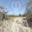 Rustic land with 7.300 sq.m for sale in Vale Telheiro, 5km away from Loulé