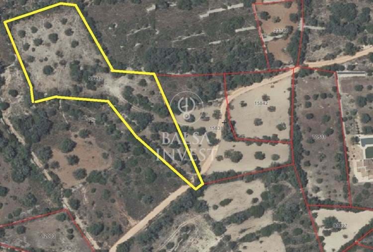Rustic land with 7.300 sq.m for sale in Vale Telheiro, 5km away from Loulé