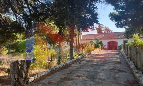 Quinta   - Quinta de São José, Almada, venda