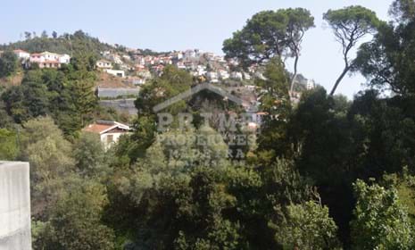 Land Zu verkaufen São Gonçalo Funchal