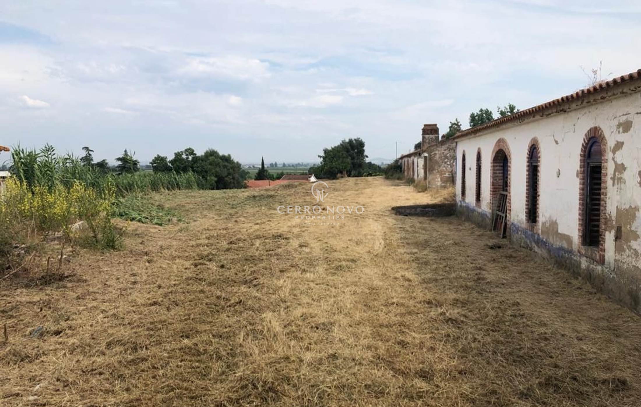 Centenary farm with a lot of potential in Pinheiro Grande
