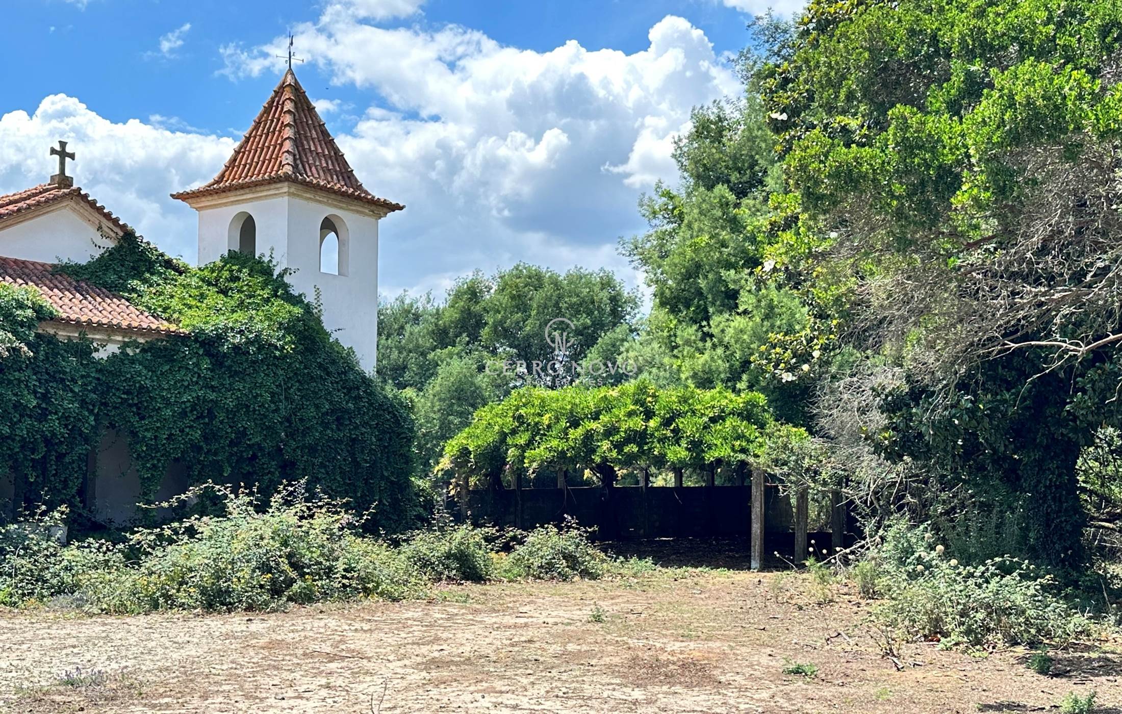 Traditional Quinta in Ribatejo