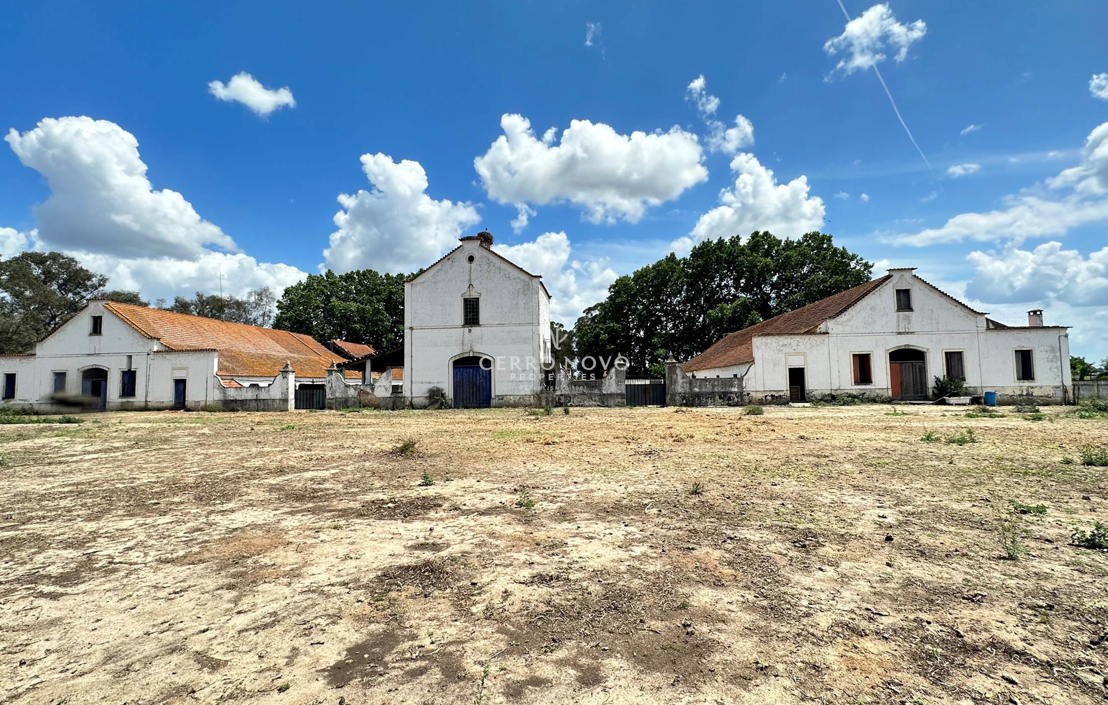 Traditional Quinta in Ribatejo