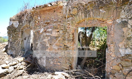 Terrain avec ruine À vendre S. Faustino Boliqueime Loulé 1009-2217