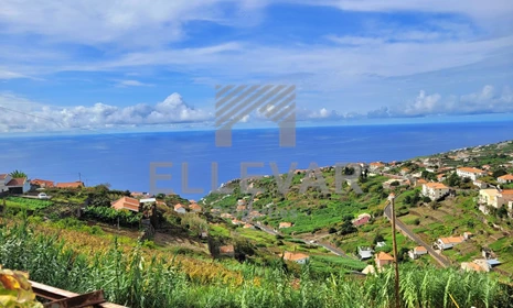 Ilha da Madeira - Calheta - Arco da Calheta - Venda - T3 - 09E/2022 - Portugal - Moradia