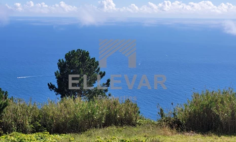 Ilha da Madeira - Calheta - Prazeres - For sale - 60A/2023 - Portugal - Land