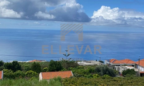 Ilha da Madeira - Calheta - Estreito da Calheta - Zu verkaufen - 3 Schlafzimmer - 98A/2023 -   - Einfamilienhaus