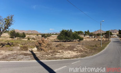 maa - Myytävänä - El Rebolledo - Alicante/Alacant