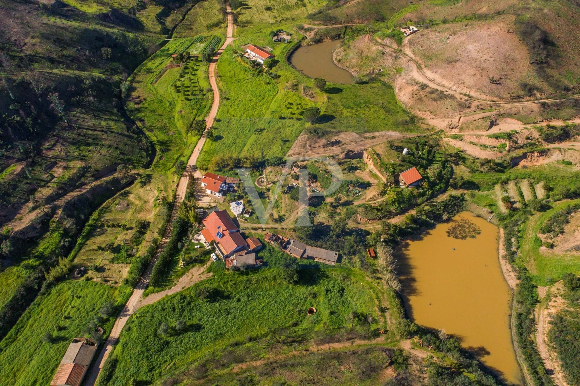 Ecological farm - Montes de Cima