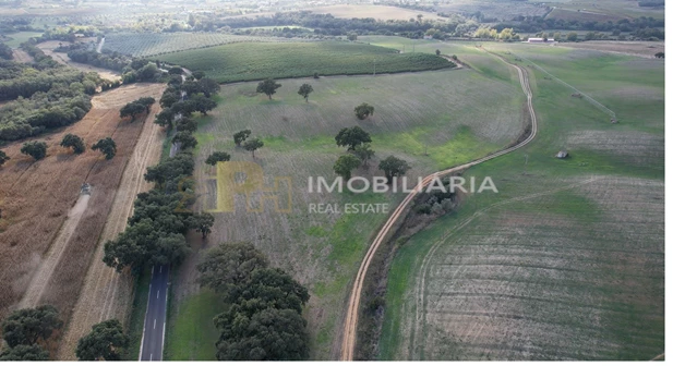Rural land   -  , Santarém, for sale