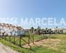 Marcela Properties